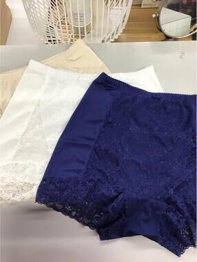 Rhonda shear pin up briefs 2 pack size 1X new HSN ruched high rise lace